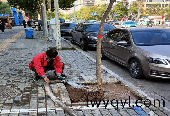 七裏河(he)區(qū)(qu)園(yuan)林(lin)綠(lv)化(hua)所(suo)全(quan)麵(mian)開(kai)展(zhan)鞦(qiu)季(ji)苗木(mu)補(bǔ)栽(zai)工(gong)作